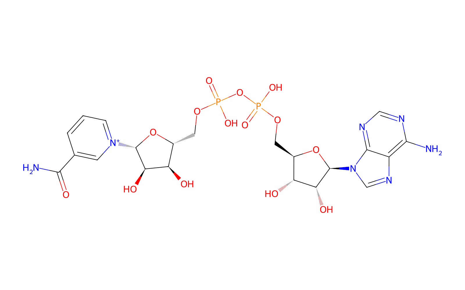 NAD+ 500 mg molecular structure