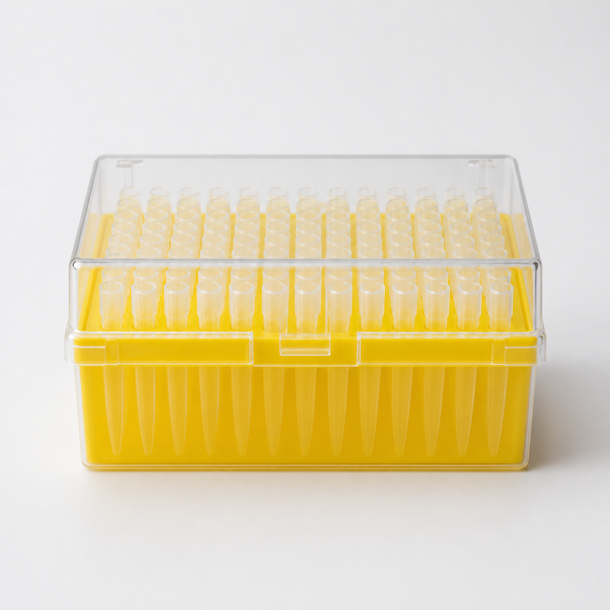 Product photograph of 200 µL Filtered Pipette Tips, laboratory consumable